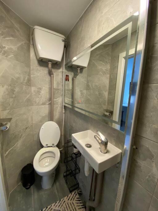 One Bedroom Putney Village Flat London Ngoại thất bức ảnh