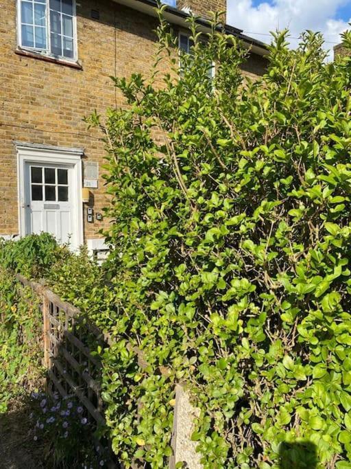 One Bedroom Putney Village Flat London Ngoại thất bức ảnh