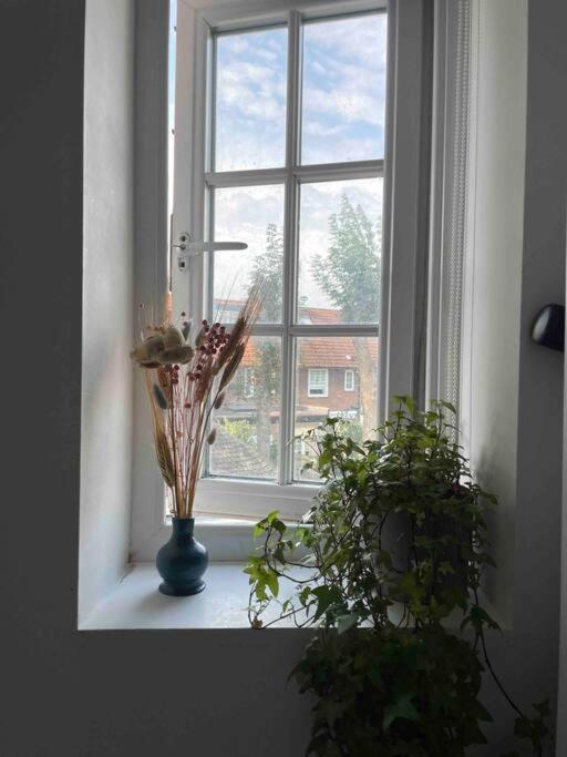 One Bedroom Putney Village Flat London Ngoại thất bức ảnh